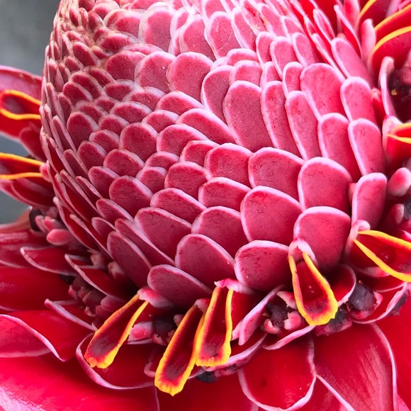 Meet your Posher, Helen - Picture 1 of 2